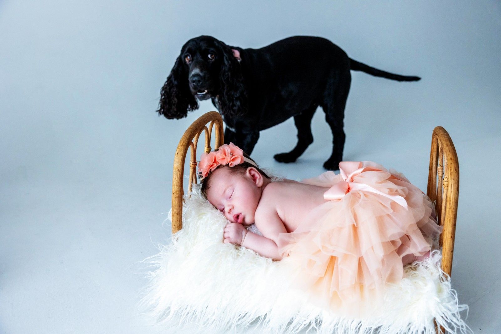 15 XNG PRODUCTIONS NEWBORN