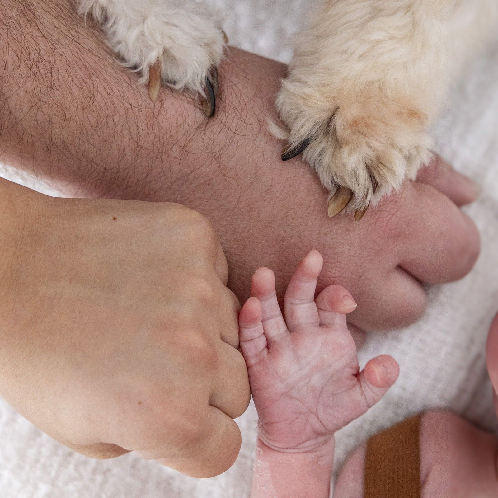 53 XNG PRODUCTIONS NEWBORN